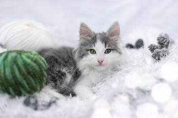 Cute gray kitten with green eyes near a ball of thread