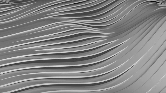 3D animation of White, gray, black wavy stripes background waving and swaying. Future geometric patterns motion background. Rendering in 4K. Room for text.
