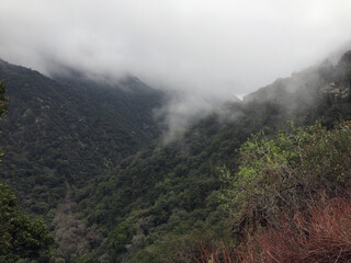 Sturtevant Falls hike in the San Gabrielle Mountains.