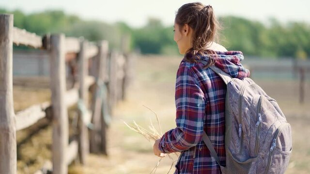 cute smiling young woman in casual plaid jacket comes to fence and feeding horse by straw through it from hands. pets and farm animals care concept