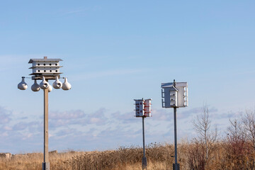 The birdhouses in conservation area.