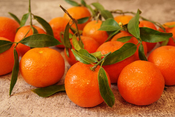 Big bunch of ripe juicy tangerines with green leaves. Fresh fragrant mandarins.