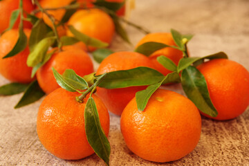 Fresh organic tangerines with green leaves on the table. Ripe juicy mandarins.
