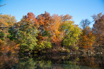 Fototapeta premium Trees and buildings reflect off the Pool in Central Park, New York City.