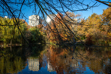 Trees and buildings reflect off the Pool in Central Park, New York City.