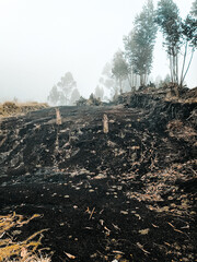 cerro con neblina