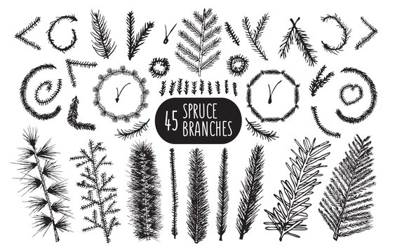 Set of 45 hand drawn spruce branches. Christmas Trees and wreaths.