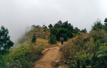 Obraz premium A woman going back from top of mount Prau Wonosobo Indonesia