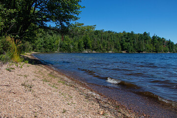 National park in a summer day