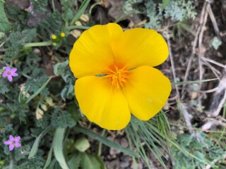 Santa Monica Mountains hike