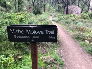 Santa Monica Mountains hike