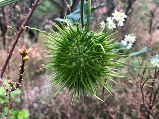 Santa Monica Mountains hike