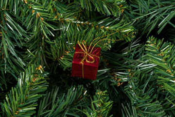 Red Christmas gift isolated on christmas tree branches