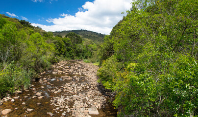 Fototapeta na wymiar Paisagem com rio e floresta