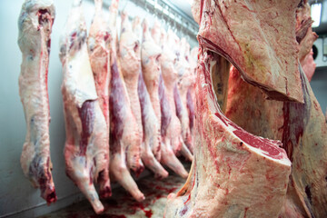 Meat Industry Hanging Cold Storage Japanese Wagyu beef is cut and hung on a hook in slaughterhouses.