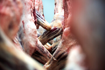 Meat Industry Hanging Cold Storage Japanese Wagyu beef is cut and hung on a hook in slaughterhouses.