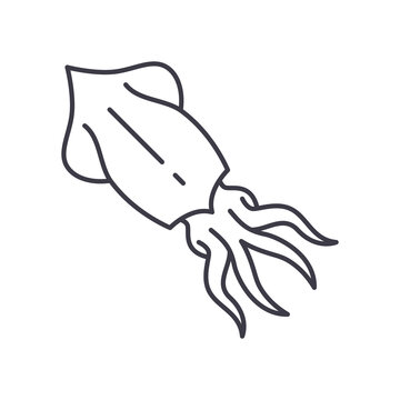 recommend clip art: Squid icon, linear isolated illustration, thin line vector, web design sign, outline concept symbol with editable stroke on white background.