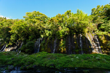 富士山の湧き水が流れる白糸の滝
