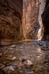 Water Rushes Around Exposed Rock in The Narrows