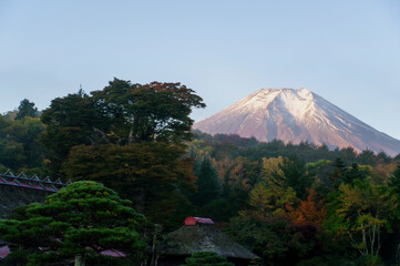 朝日で赤く染まる富士山