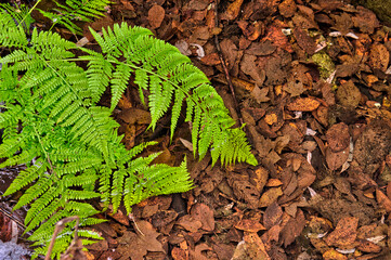 炭鉱跡地のアパート廃墟群