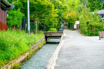 京都　哲学の道