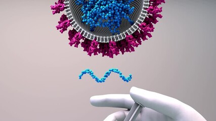 RNA vaccine new type of vaccine inserts fragments of the virus RNA into human cells to reprogram them to produce viral protein spikes then stimulate and immune response - Powered by Adobe