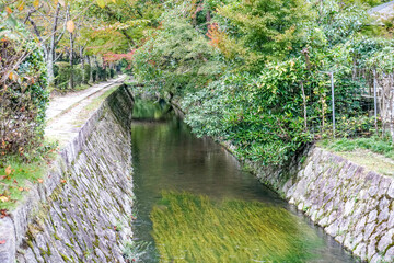 京都　哲学の道