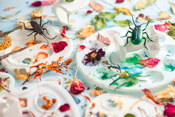 Fototapeta na wymiar Art botany header with watercolor palettes, beetle, leaves and petals, nature and art concept