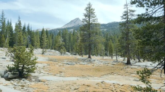 Pan shot of Sierra Mountains with rocks and forest in the foreground and a cloudy sky (60 fps slowed to 30 fps)