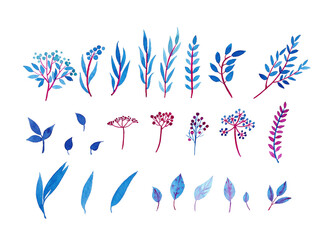 Watercolor set twigs, leaves and berries. Isolated on white background. For card, visit card, invitations.