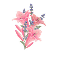 Watercolor vintage flowers and leaves. Floral bouquet. Isolated on white background.