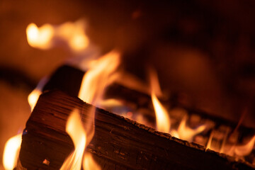 Flames of a camp fire