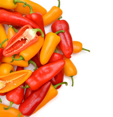 fresh harvested sweet peppers different varieties