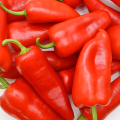 fresh harvested sweet peppers different varieties