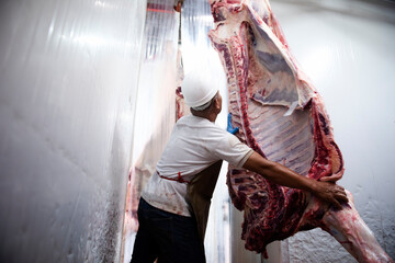 A professional butcher in the factory's cold storage with the carcass of Japanese Wagyu beef in the background. Slaughterhouse food production
