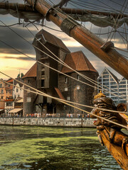 Żuraw © Jerzy Czarkowski