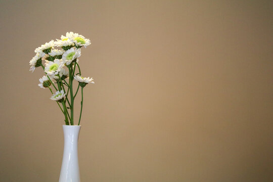 Background image with Flower vase