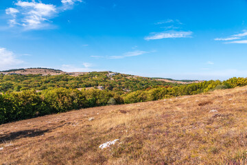 Fototapeta premium Autumn steppe landscape on a mountain plateau with low trees.