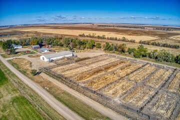 Ringneck Pheasant Farm in South Dakota