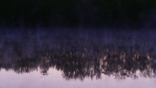 Serene early morning with fog moving across top of river with dark reflection of woods.