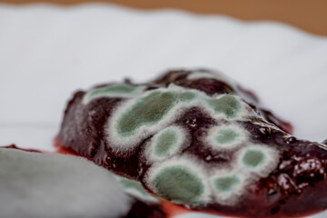 Green-gray mold grew on strawberry jam in a warm room. Food storage.