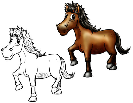Horse Color and Line Drawing