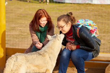 Two cute girl with long hair with dog in the autumn sunny day. Friendship women and dog.