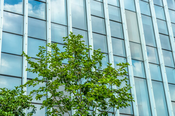 modern office building with green leaves.
