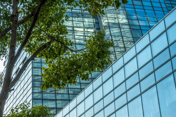 Obraz na płótnie Canvas modern office building with green trees.
