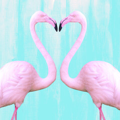 Naklejka premium Two pink Flamengo looking at each other formation heart shape