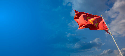 Nova Roma national flag with blank text space on wide background.