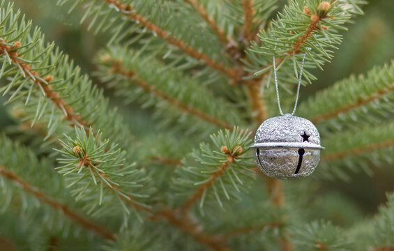 One Silver Bell Hanging On The Tree