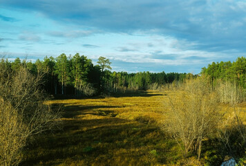 Landscape of Siberia, mountains and swamps. Kodak ektachrome E100. Slide.